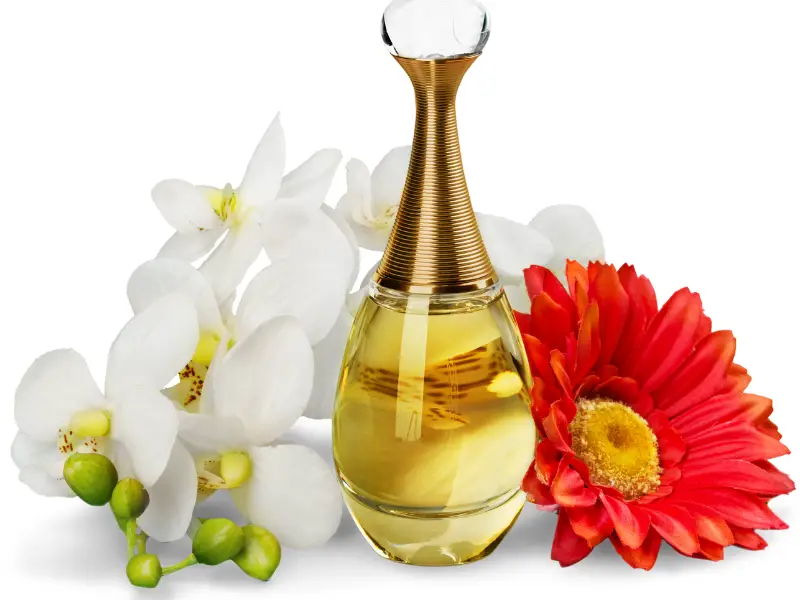 Botanical Perfume with flowers 1