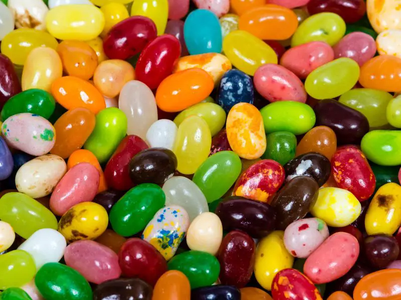 Jelly Belly candy