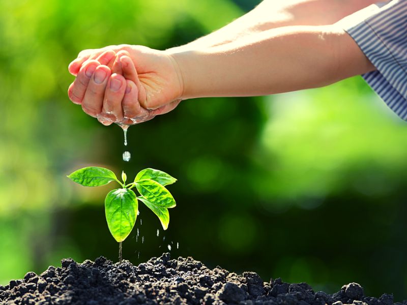 Things YOU Can do to Save the Planet