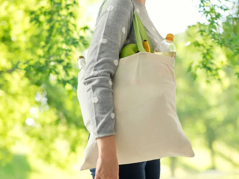 Shop in reusable cloth bags