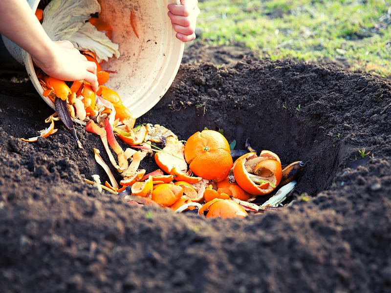 how to compost at home