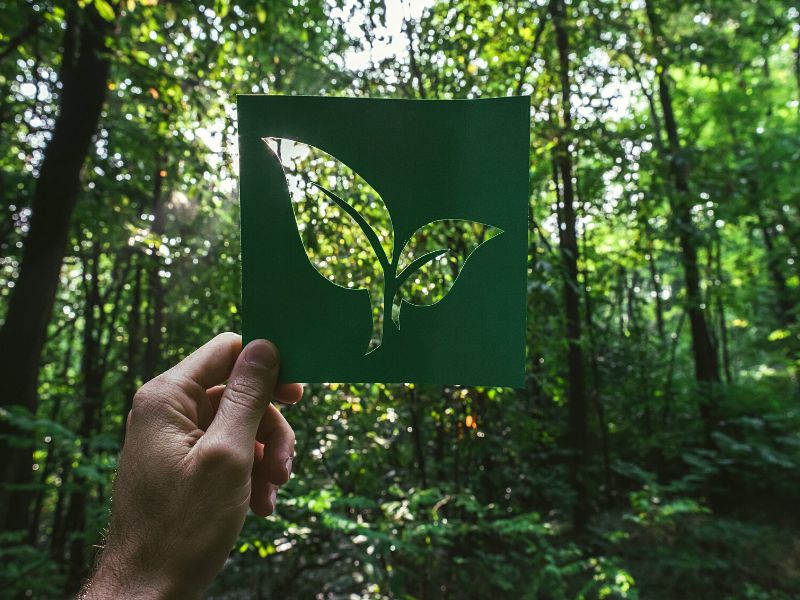 Importance of Being Eco Friendly
