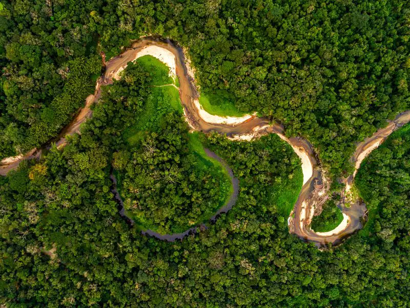 Amazon Rainforest South America