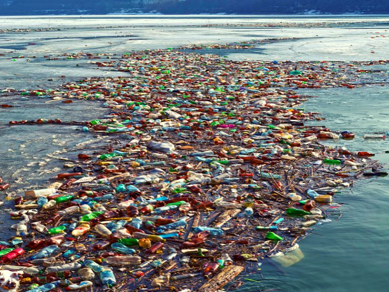 How The Plastic Pollution Crisis Affects Your Life