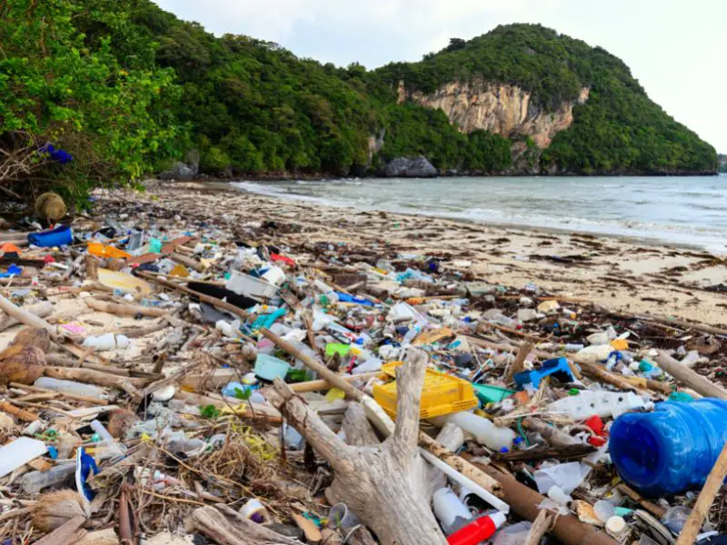 Plastic in Beaches