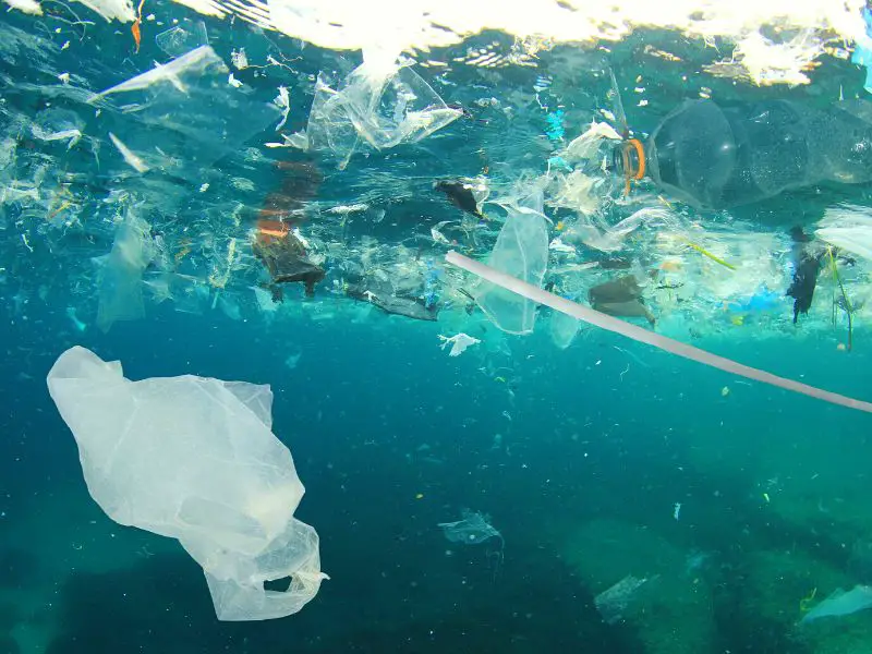 Plastic in Ocean