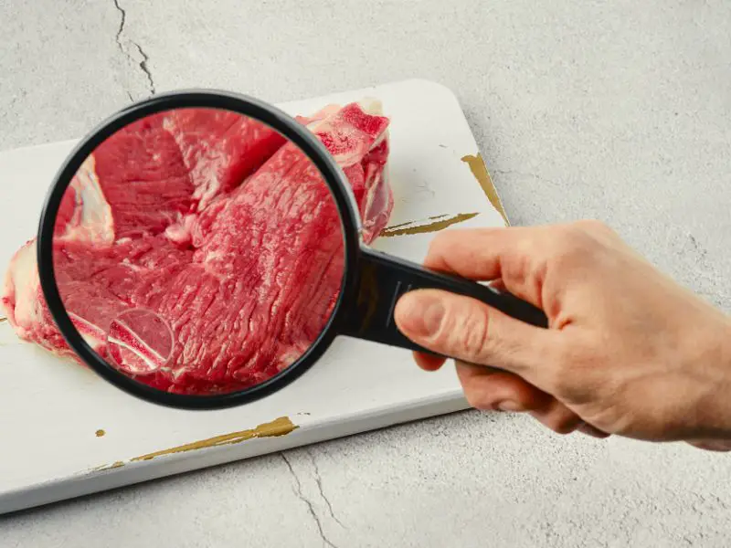 Lab-Grown Meat or Cultured Meat