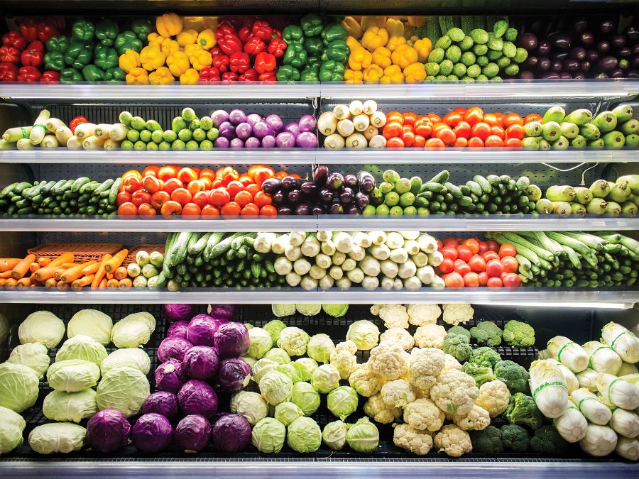 Food Waste