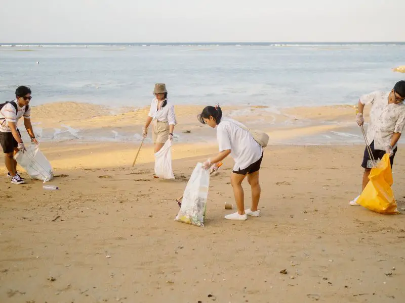 Cleaning The Ocean