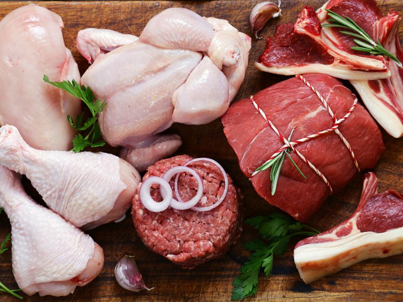 Things to Know About the Carnivore Diet