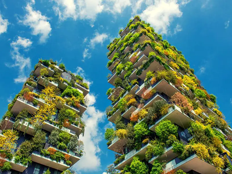 The Vertical Forest: A Solution for Urban Pollution
