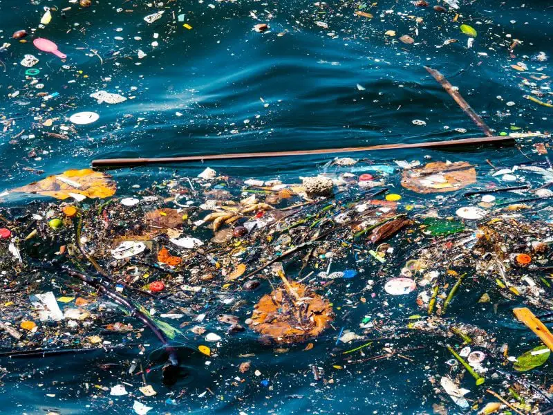 Things You Need to Know About the Great Pacific Garbage Patch