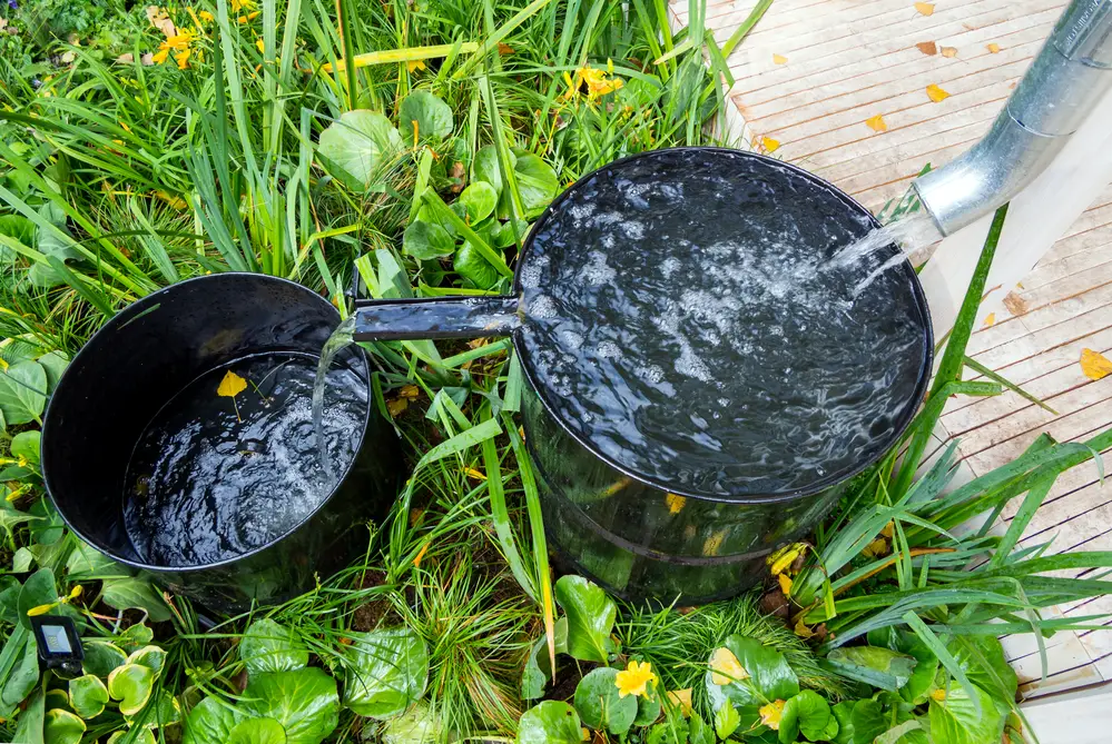 Is It Illegal to Collect Rainwater?