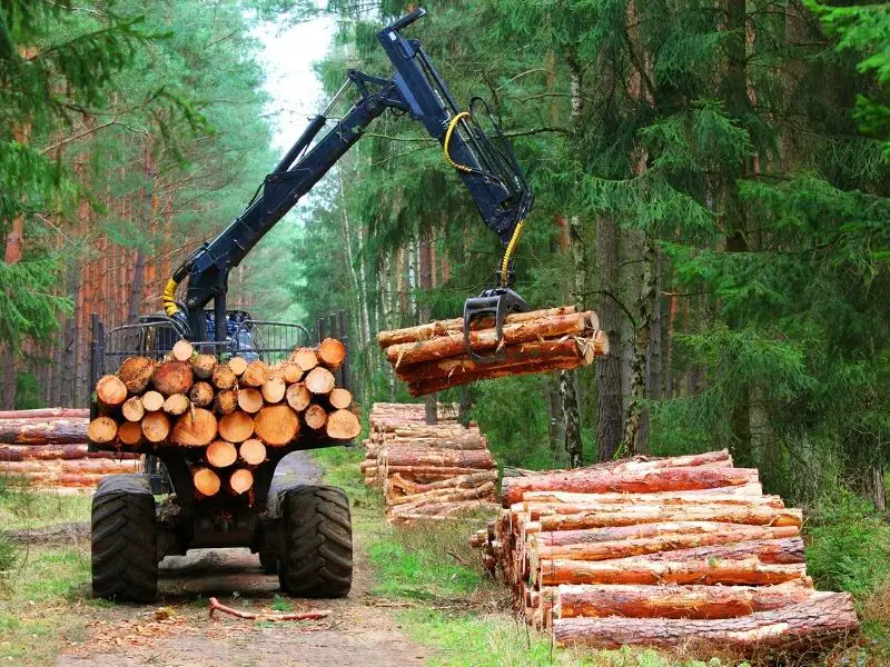 Tractor Timber Harvesting