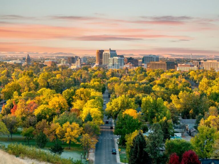 Tree City USA: The Importance of Urban Forestry in 2025