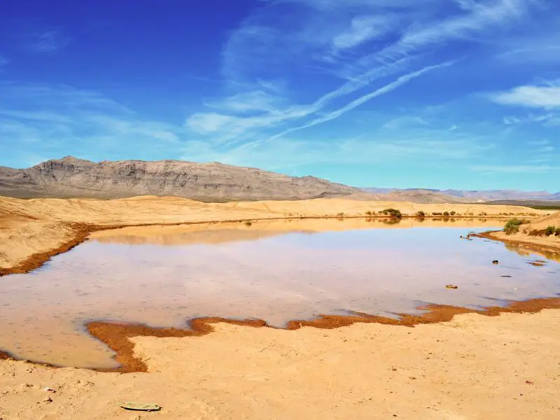 Limited Water in Desert