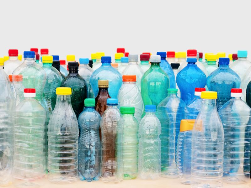 Plastic Eating Bacteria