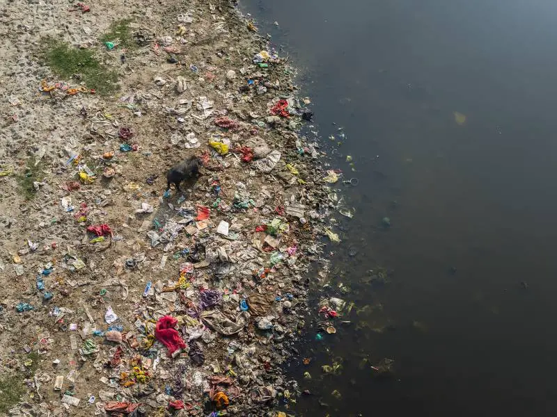 Polluted Rivers