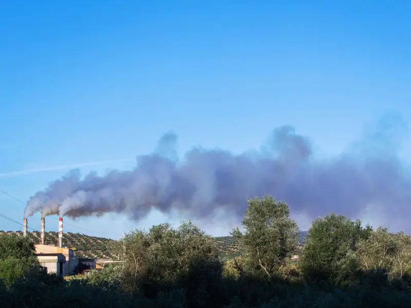 Chemical Pollution in Spain