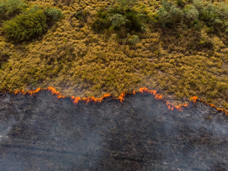Climate Change Books: The Top 11 Books to Read