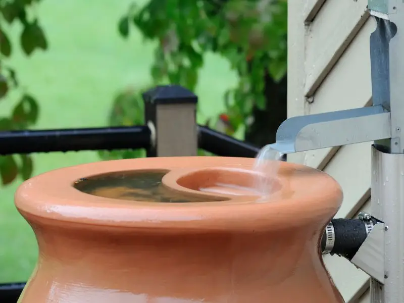 Conserving rainwater