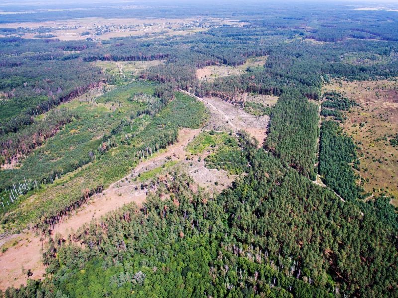 Human Impact to the Environment