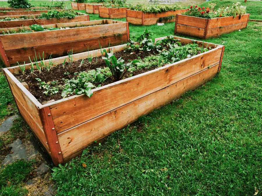 Permaculture Raised Beds