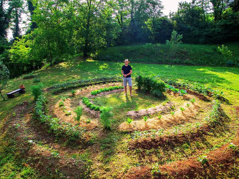 Start Permaculture