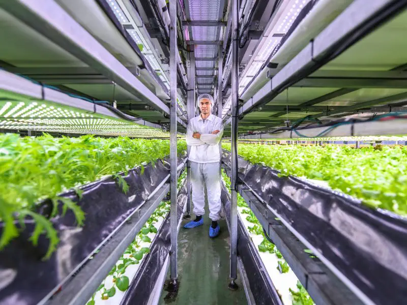 Sustainable Vertical Farming