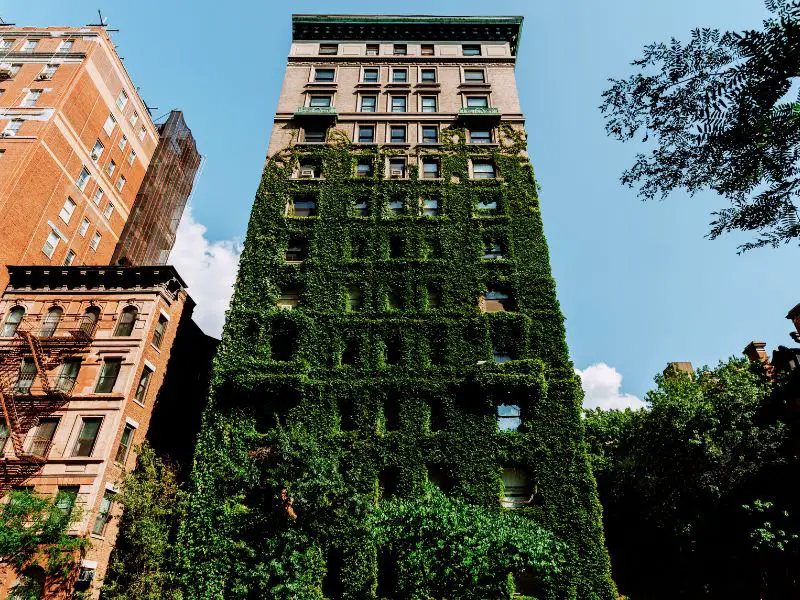 Tall Building with Green Wall