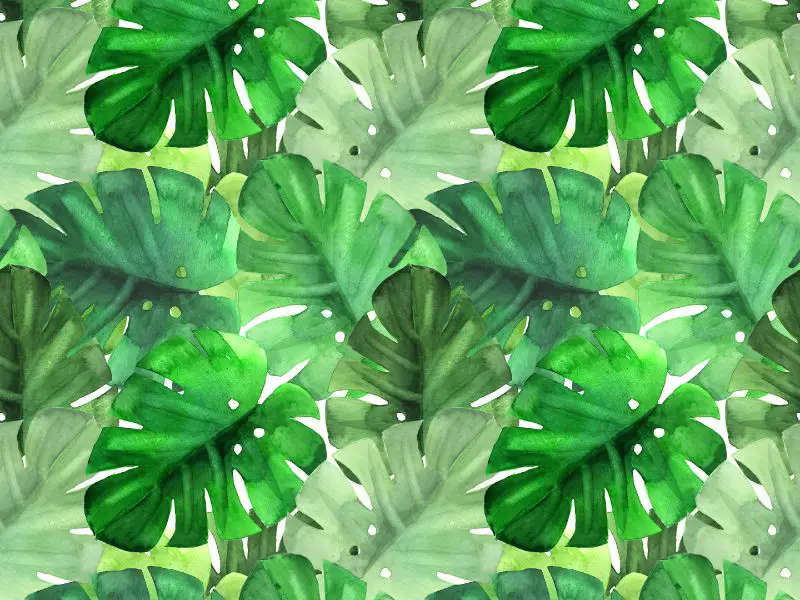 leaf shaped patterns in room wallpaper