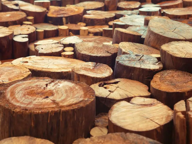 Most Sustainable Hardwoods