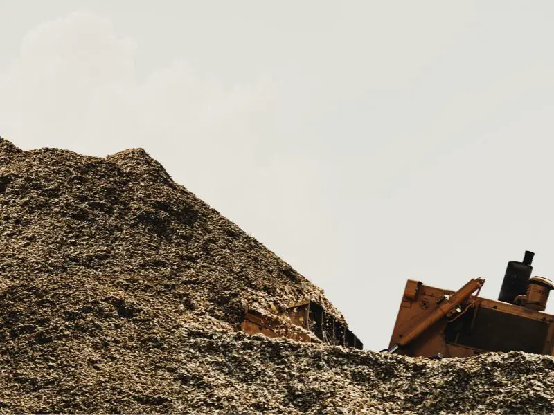 The Fascinating Tale of Bantar Gebang More Than Just a Landfill